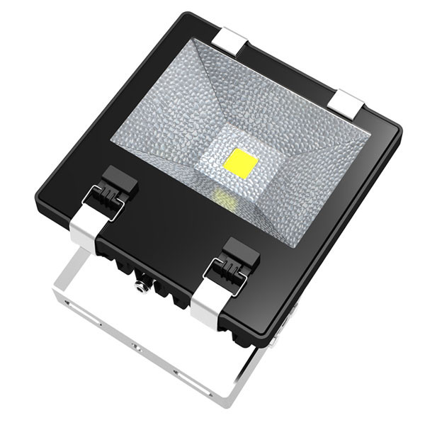Profi 70W Bild1