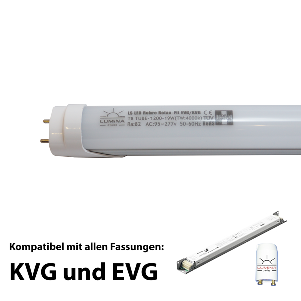 Roehren Evg Matt Bild3
