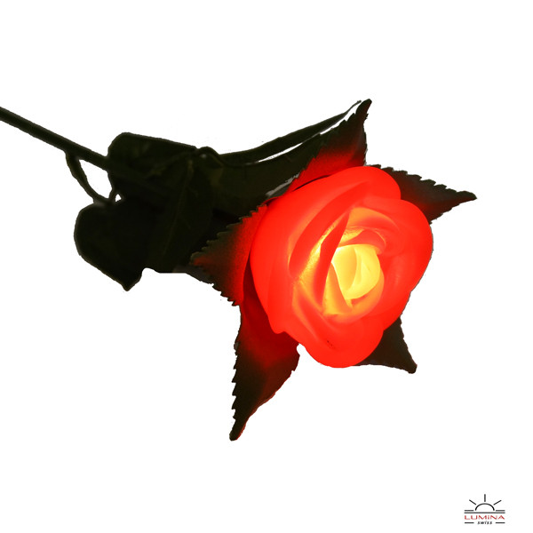 Gadgets Ledrose Rot Bild1