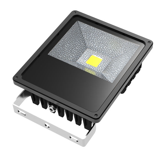 Profi 50W Bild1