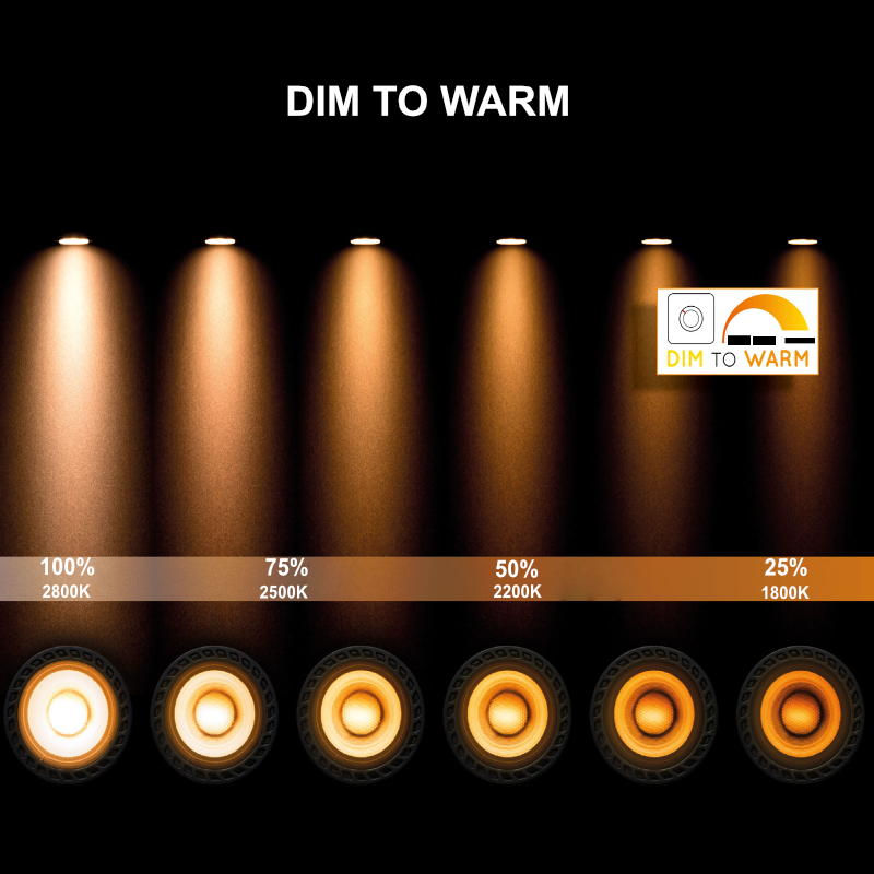 LED Akzentbeleuchtung